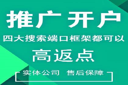 SEM推广与竞价代运营结合的实战案例分析